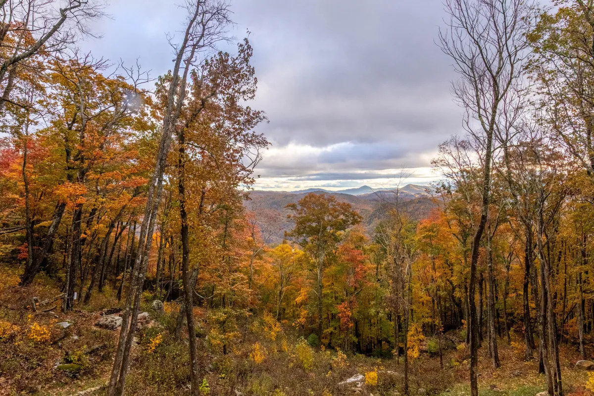 A sweeping outdoor view featuring vibrant autumn foliage blanketing rolling hills, with distant mountains under an overcast sky. The landscape is inviting for hiking, biking, and nature exploration, with a serene, invigorating atmosphere that captures the essence of outdoor adventure.