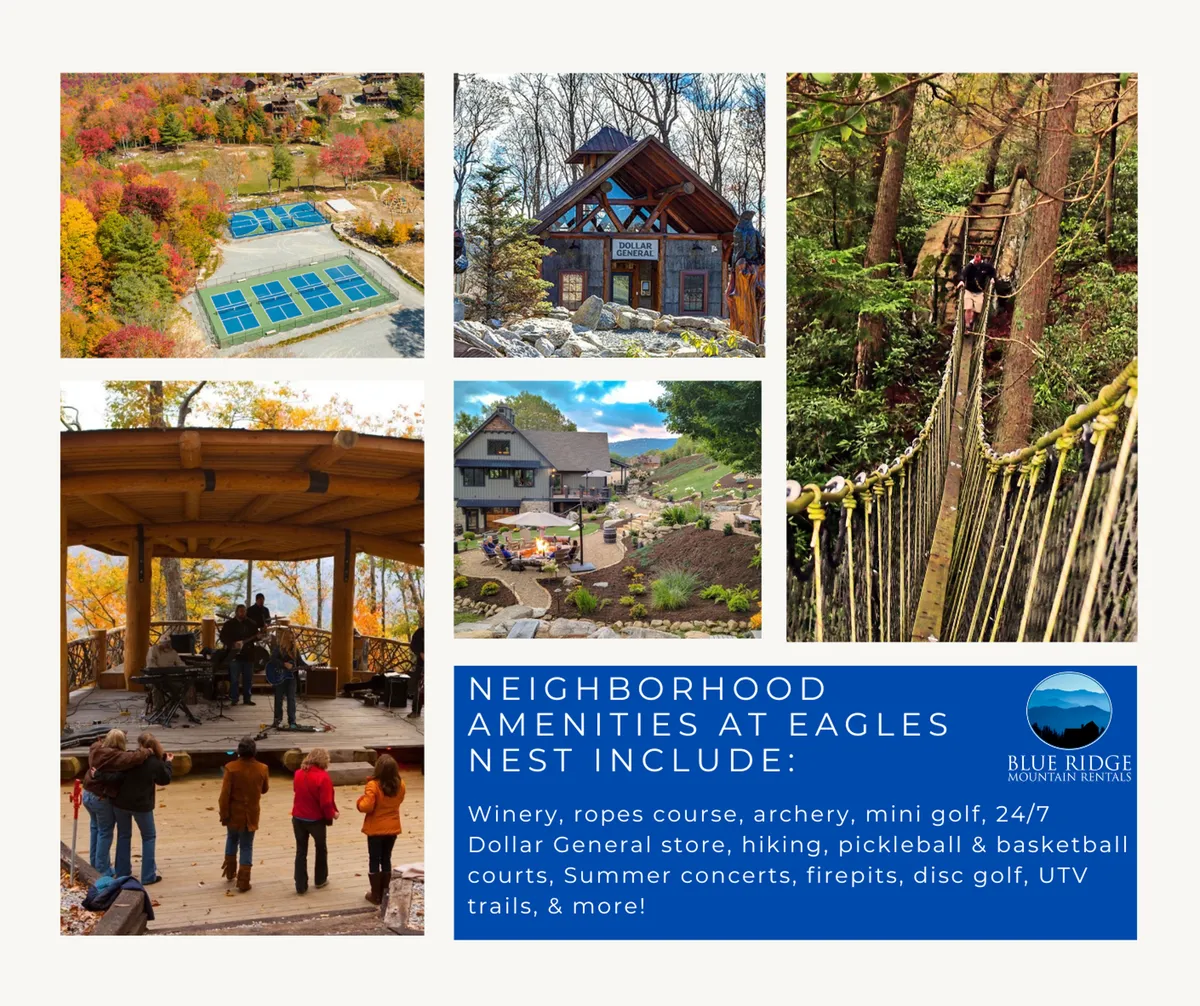 An aerial view encompassing the outdoor concert stage, lush surroundings, walking paths, and nearby recreational amenities like mini-golf and nature trails. Families and groups are gathered around the stage and on the Great Lawn, enjoying live music and social activities.